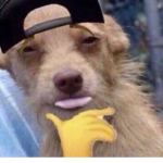 *Swaggy*