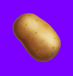 Potato Games Team