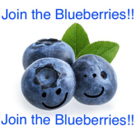 The Blueberry Fan Group!!