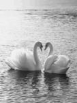 THE BADD GIRLS (::::