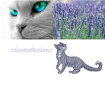 ~Lavenderclan~