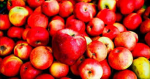 Apples12332