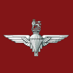PARAS COMBAT icon