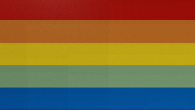 Every LGBTQ+ Flag screenshot 1