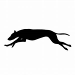 Greyhound Studios