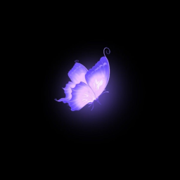 ︶ ˚ · .˚ ༘🦋⋆｡˚ ︶