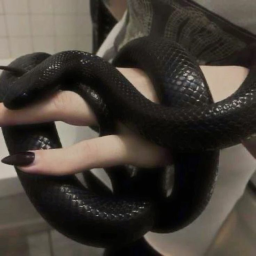 𝖗𝖊𝖕𝖚𝖙𝖆𝖙𝖎𝖔𝖓