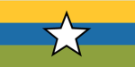 Patriotic Pixel Army