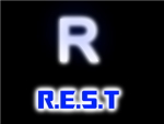 ROBLOX Elite Security Team