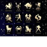 ~Zodiacs united~