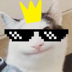 Beluga The Pro Kat