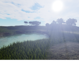 Grassy Path