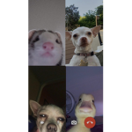 Make you happy and give you roebucks every Buddy I