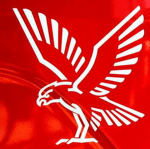 Falck Rettungsdienst (Notruf Hamburg)
