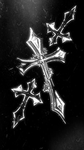 Altimo Ultima