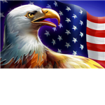 United States Of America Security