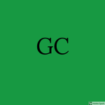 {HG} Hood Gangstas'