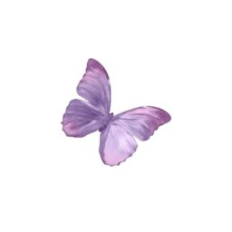 🦋