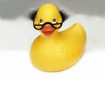 Duck Squad !