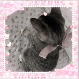 ♡