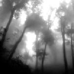 MONOCHROME REALITY