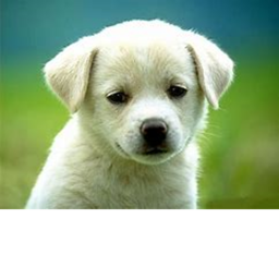 Fun Maze!