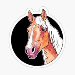 Blossom stables read the rules before joining