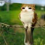 [Closed in-dev] Become an Entity