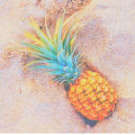 ⋆oceanse⋆