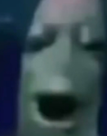 Sad_ara ara
