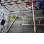 p1ckle squad