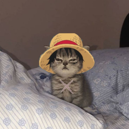 Luffy cat Roblox decal