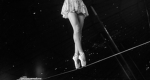 The Elegance Elite Acrobatics