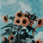 -Its-Flower-