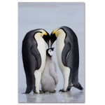 Penguins are the coolest animal