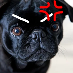 quinn's test crap icon