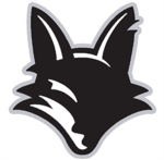 Silver Fox Snipers