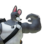 Rat gym!