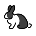 #BunnySquad :)