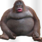 THA MONKE