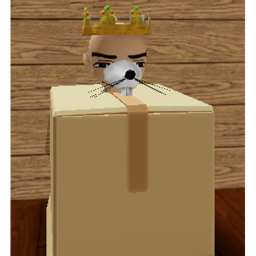 Boxed Rat Home (HOLIDAYS!!)