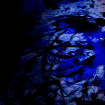 Luminaris.