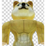 Team sloth #####