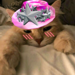 DrippycatLOL