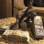 MONEYONY