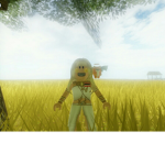 nook shop
