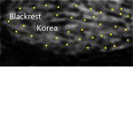 Blackrest_Korea