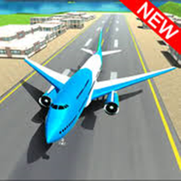 ✈ R.E.A.L. Flight Simulator