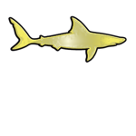 Golden Shark Pirates