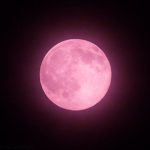 *moonlux*